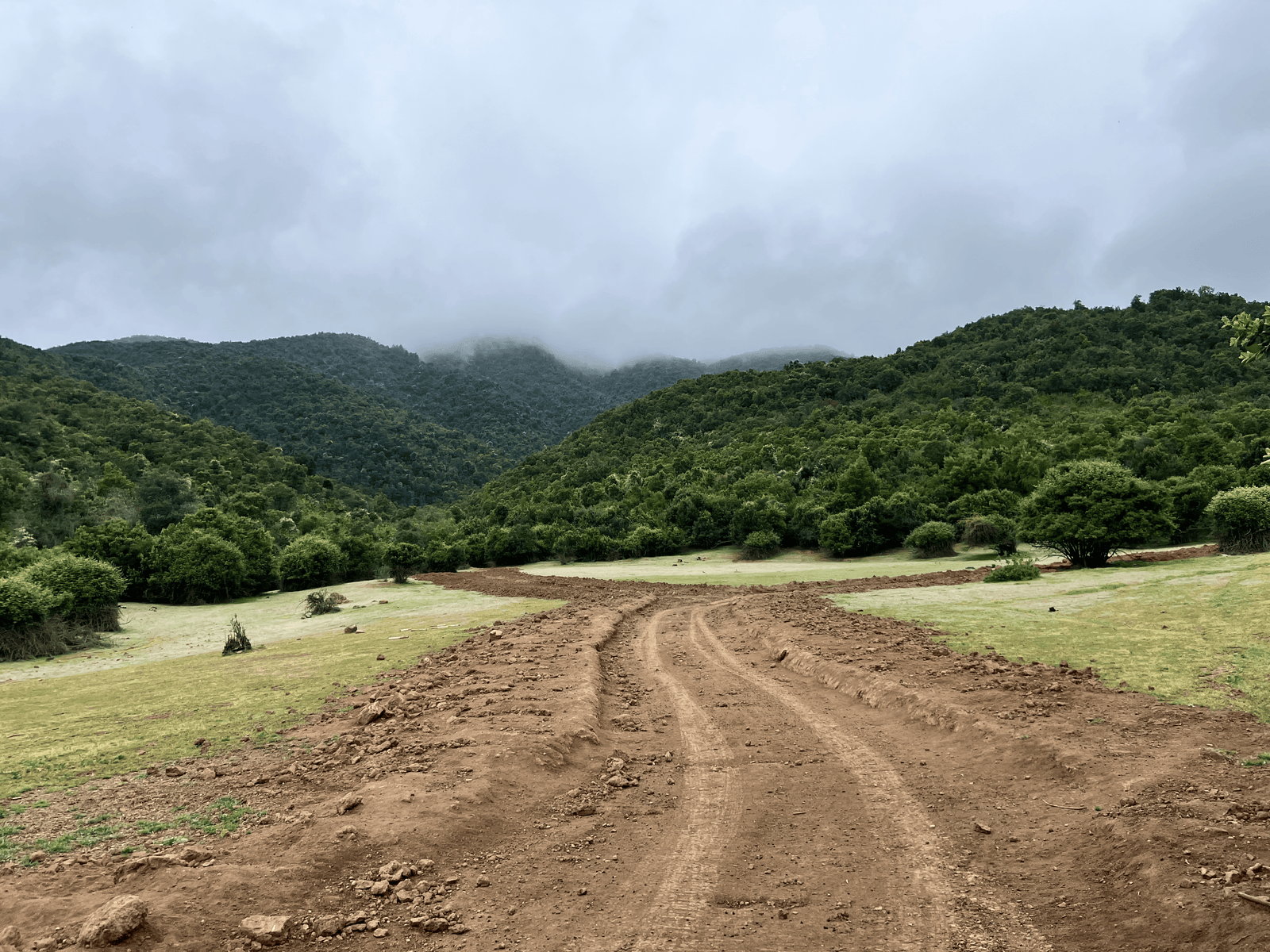Camino de acceso al proyecto