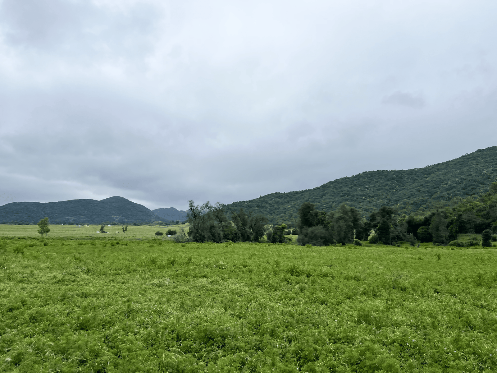 Pradera abierta con cielo amplio