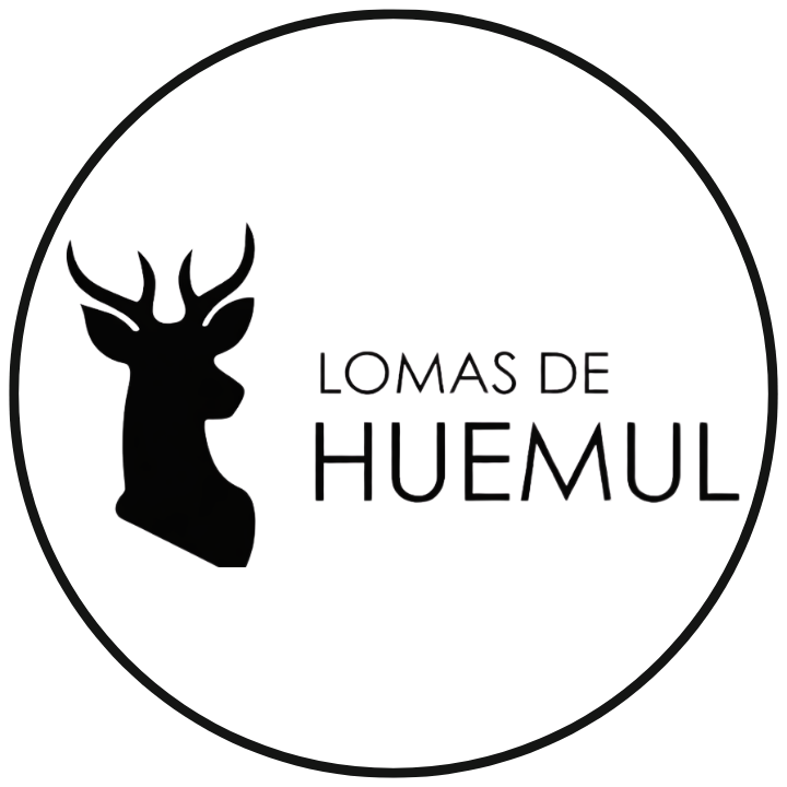 Lomas de Huemul